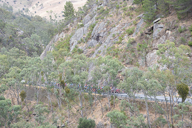 Tour Down Under